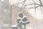 Statues & Rowhouses