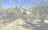 Umbria