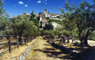 Corciano